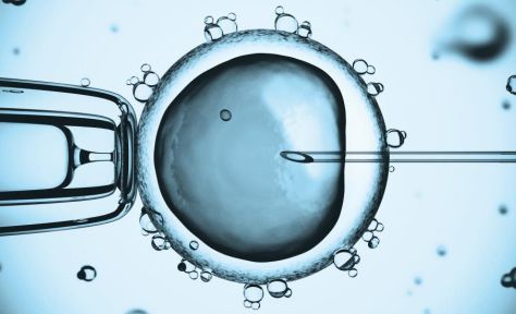 妈妈怀100胞胎要生了