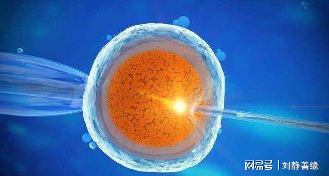 妊娠怎么读语音