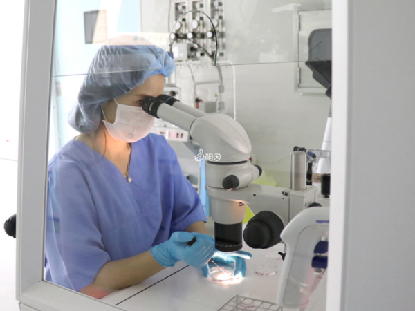 妈妈怀100胞胎要生了