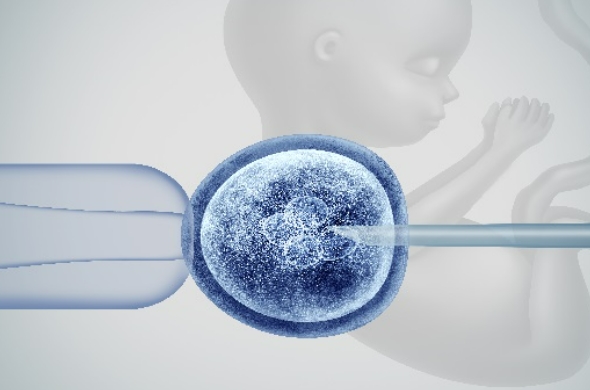 妈妈抱哭姥姥抱不哭