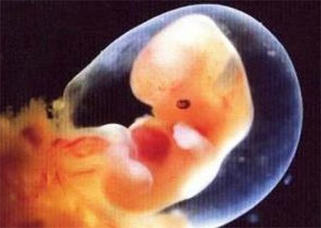 妈妈生日蛋糕文案高级