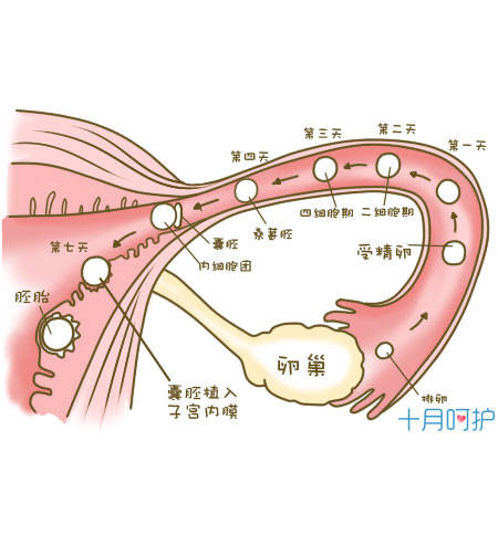 妊娠伴随综合征