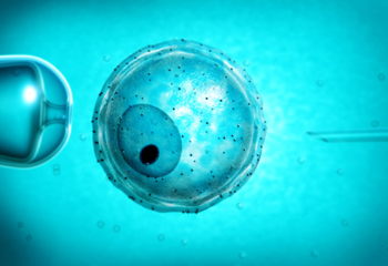 妈妈的生日祝福语