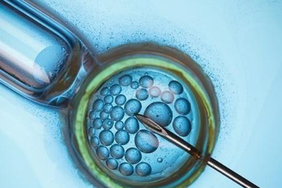 妊娠拼音叫什么