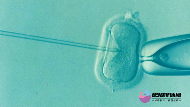 妈妈堵奶怎么办