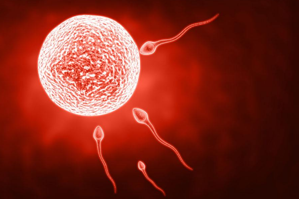 妊娠伴随综合征