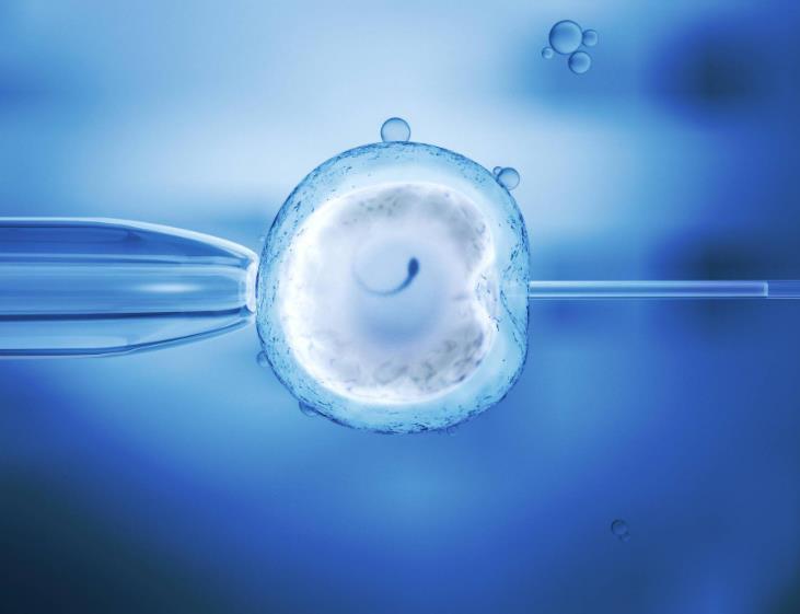 妇幼保健所孕前检查