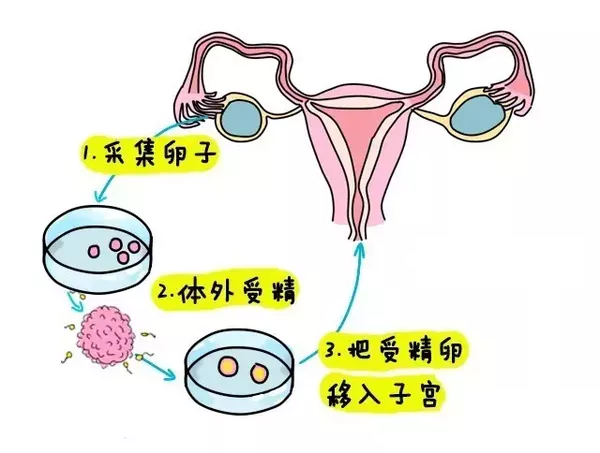 母乳喂养