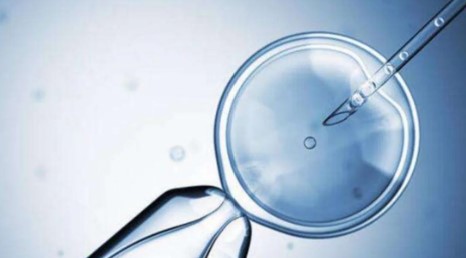 广州捐卵公司介绍