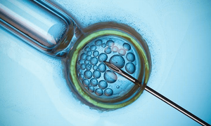 广州合法供卵试管中心