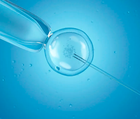 广州捐卵五万起