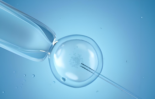 广州做供卵试管多少钱