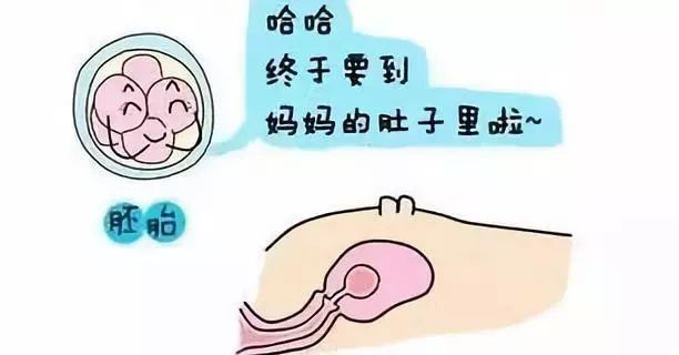 广州做供卵试管婴儿的医院