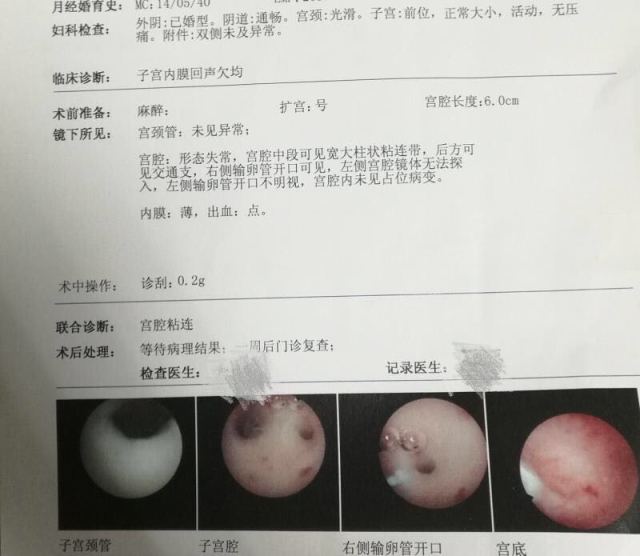 广东试管3代最好的医院