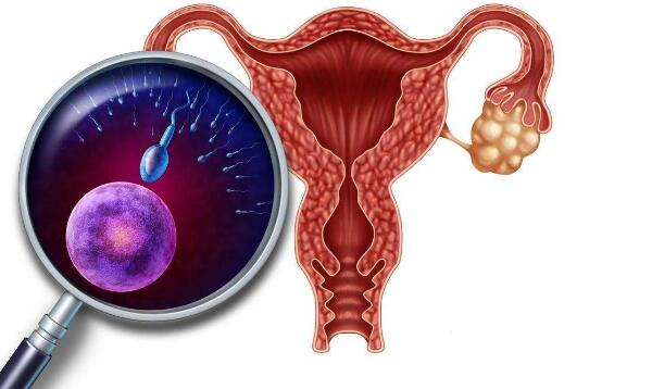 广安捐卵试管生男孩