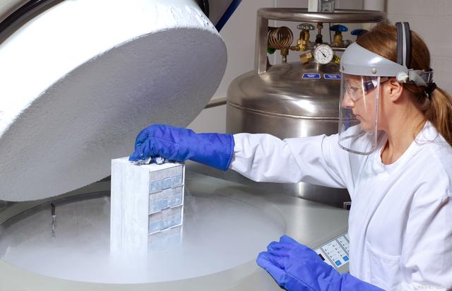 广州比较正规的捐卵中心