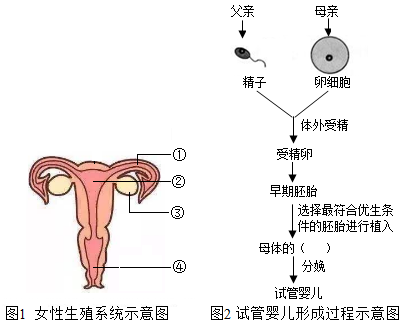 广州长期捐卵微信群